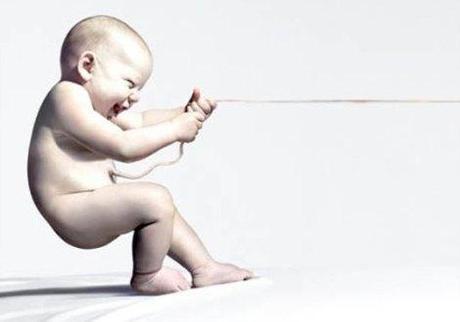 Conservación privada de la sangre de cordón cordon-web