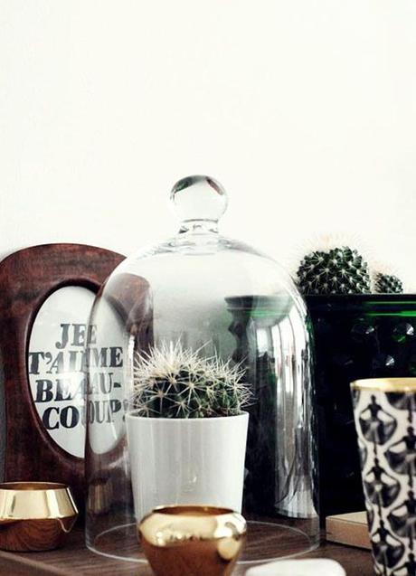 campanas-vidrio-bell-jar-estiloescandinavo-12