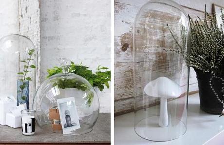campanas-vidrio-bell-jar-estiloescandinavo-17