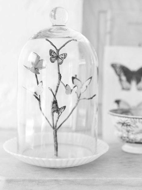 campanas-vidrio-bell-jar-estiloescandinavo-03