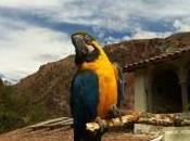 ¿cómo buscar candidatos receptivos?