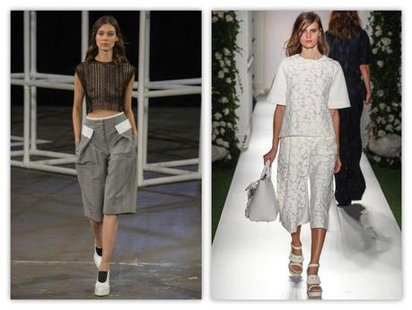 Alexander Wang/Mulberry