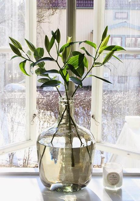 MIS QUERIDAS DAMAJUANAS...