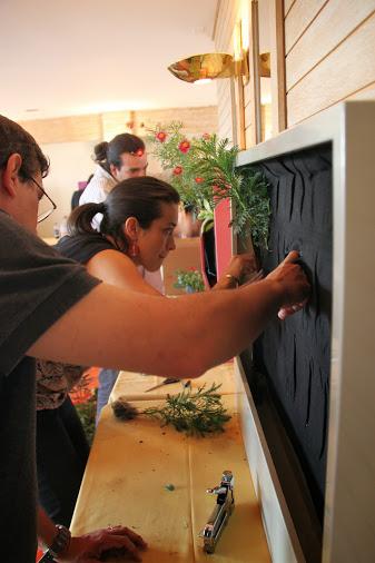 Práctica de plantación de jardines verticales