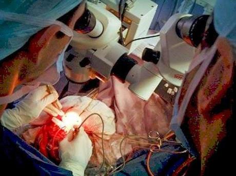 El Paciente - Juan Gómez Jurado