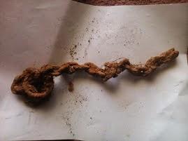 Objetos encontrados en el campo