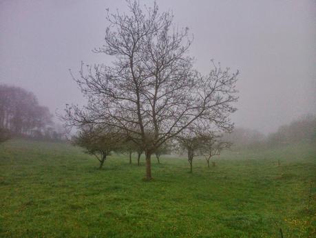 Objetos encontrados en el campo