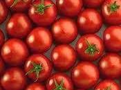 Tomates pera