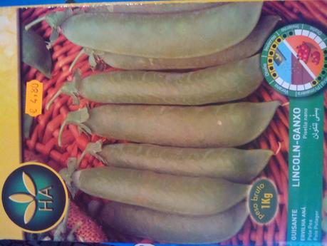 Siembra de las habas o guisantes: