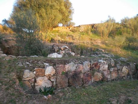 Colaboraciones de Extremadura, caminos de cultura: Ciudad antigua de Lacimurga (términos municipales de Navalvillar de Pela y Puebla de Alcocer), en la Lista Roja del Patrimonio