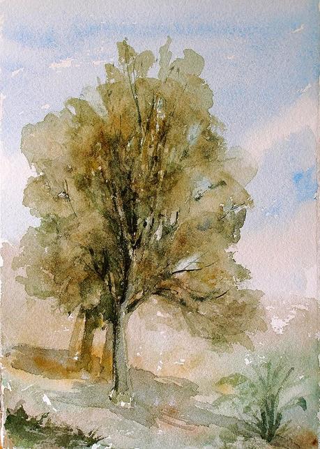 Acuarelas de árboles. Watercolor trees