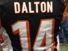 andy-dalton