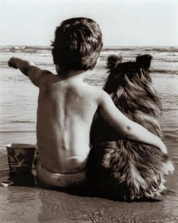 Consejos caninos 'Abr 2014' Consejos caninos 'Abr 2014'