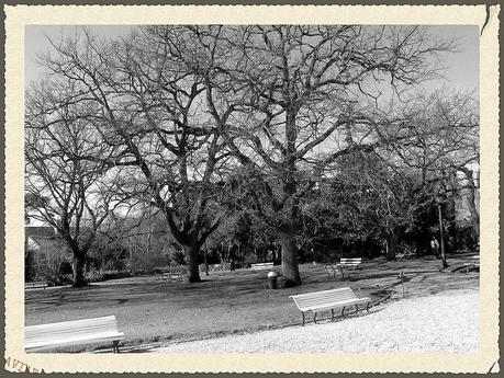 Villa Ocampo: la casa de veraneo de la dama de las letras