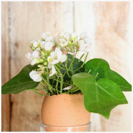 Un pequeño centro de Pasqua - An Easter centerpiece