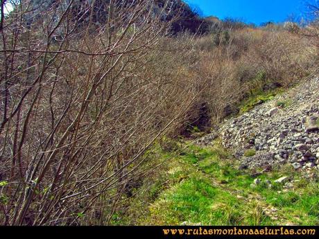 Ruta pico Gorrión - Mayor: Subiendo por la Bérgola