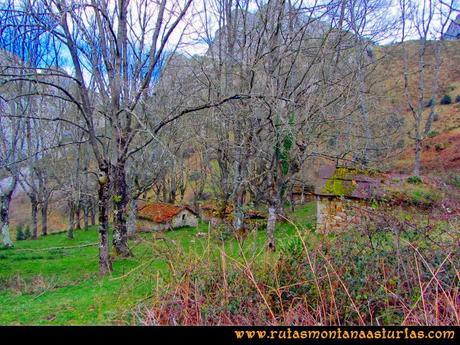 Ruta pico Gorrión - Mayor: Braña solitaria