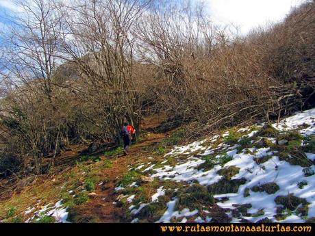 Ruta pico Gorrión - Mayor: Inicio de la zona boscosa para llegar a la collada Ordiales