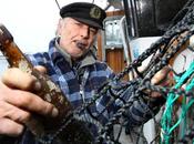 'Mensaje botella' antiguo mundo llega nieta Berlín años tarde