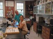 Estudian ecología cachalotes través contenidos estomacales