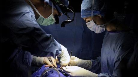 Científicos suecos presentan una manera revolucionaria de tratar el cáncer