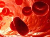 investigación explica como sistema inmune anula células sanguíneas anormales