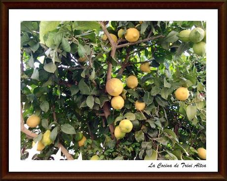 ROSCOS FRITOS DE SEMANA SANTA