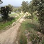 Rodaje por el monte de Boadilla Ovejas