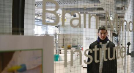 Teoría del mundo intenso