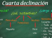 Cuarta declinación latina: Introducción