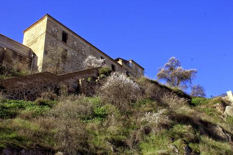 Poética y monumental fisonomía