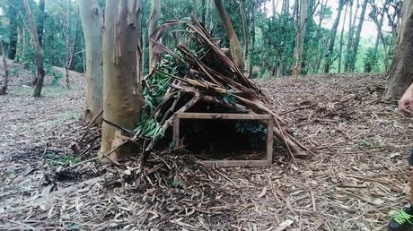 Must Have Apps: VSCO CAM Processed with VSCOcam with se3 preset