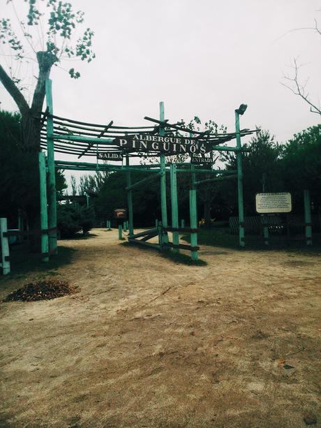 Must Have Apps: VSCO CAM 2014-04-05 11.49.32 1