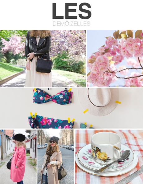  photo blogs1_zps76f6d906.png