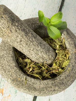 La stevia, el edulcorante natural más popular