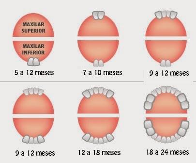 DIENTES SANOS Y FUERTES 