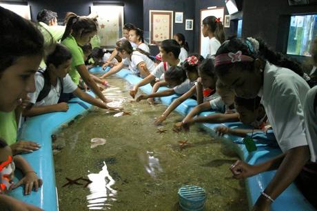 Niños conocieron el valor de cuidar el medio ambiente en el mes de la Tierra