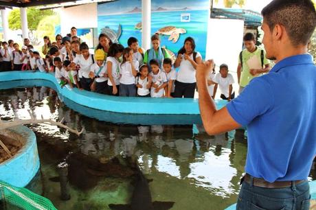 Niños conocieron el valor de cuidar el medio ambiente en el mes de la Tierra