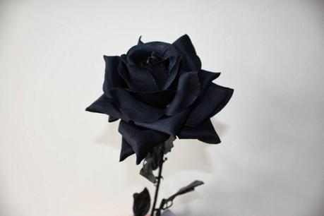 Día 456: Políticos con mayúscula.