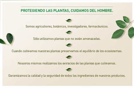 Día 452: El poder de las plantas.