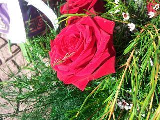 Día 435: Aromas que envuelven. Día 435: Aromas que envuelven.