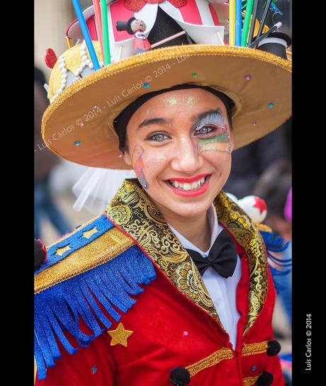 Carnaval de Badajoz 2014 (3 de 6)