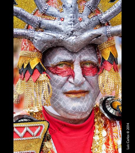 Carnaval de Badajoz 2014 (3 de 6)