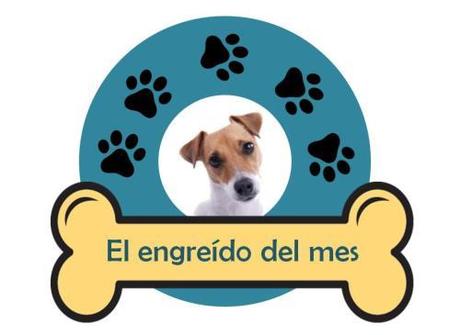 clinica_veterinaria_diaz_del_olmo_concurso