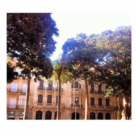 Insta Sdiosas 18 Insta Sdiosas 18