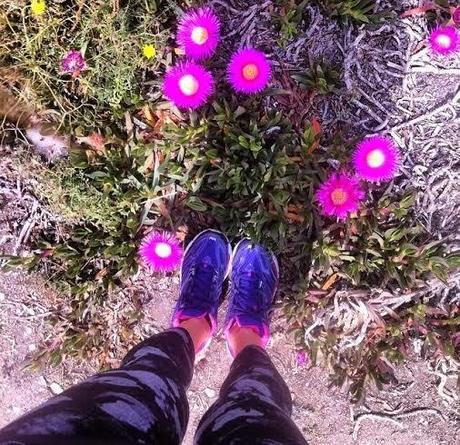 Insta Sdiosas 18 Insta Sdiosas 18