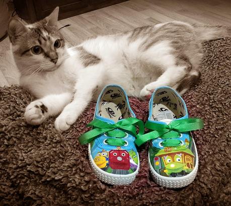 Zapatillas Marco & Daniela