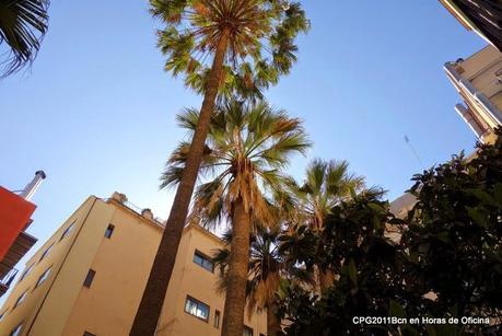 PASEO POR CIUTAT VELLA (I). UNA VISITA VIP AL ATENEU BARCELONÈS