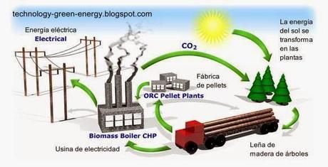 Infografía sobre el ciclo de la biomasa