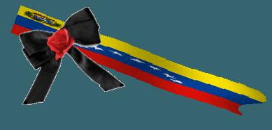 Mariana Ceballos otro ángel heroico!